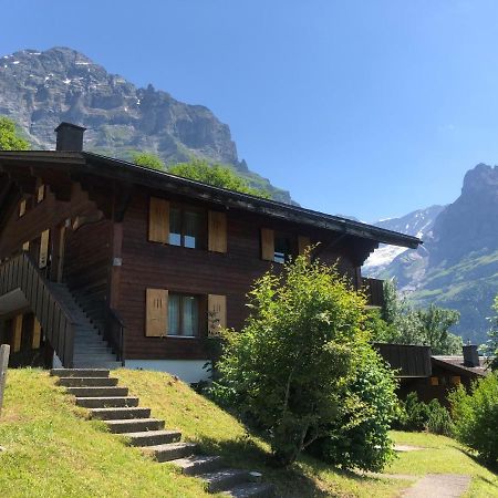 Apartment Chalet Sunneblick By Interhome Гриндельвальд Экстерьер фото
